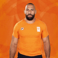 roy meyer teamnl GIF