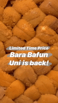 zairyo zairyosg zairyo GIF