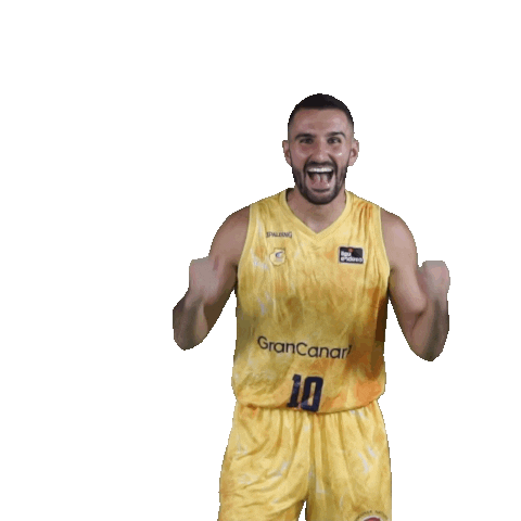 Celebrate Lets Go Sticker by ACB