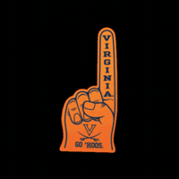 Virginia Cavaliers Orange GIF by University of Virginia