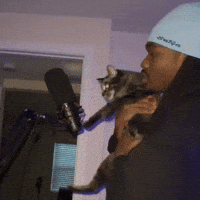 Cat Rapper GIF by Respective