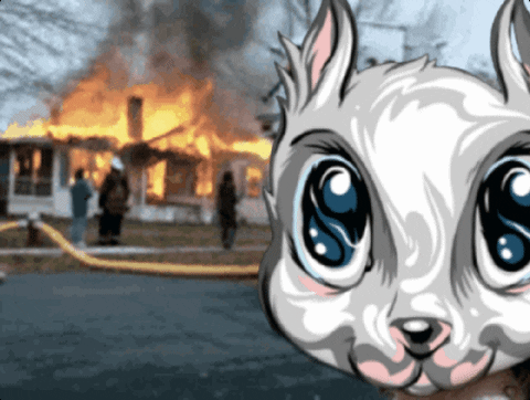 LibertySquareHQ giphyupload fire squirrel house fire GIF