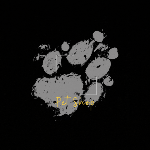 Ainechile  GIF