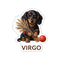 Dachshund Doxie Sticker