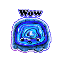 Congrats Wow Sticker