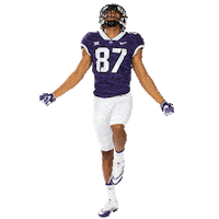 texas gofrogs Sticker by TCU Football