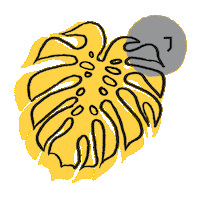 Summer Flower Sticker by jit.team