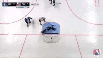 GIF by Milwaukee Admirals