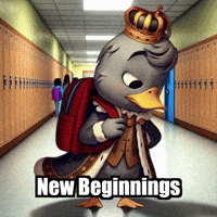 Excited First Day GIF by sirduckbeth