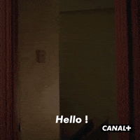 Canal Plus Hello GIF by CANAL+