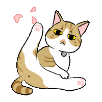 Cat Heart Sticker