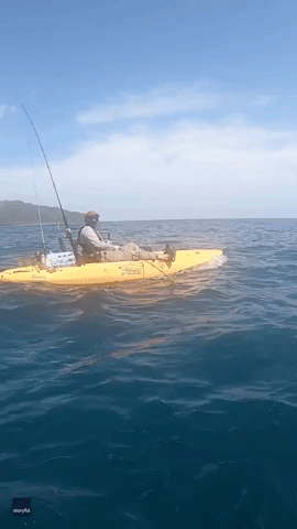 Shark Tows Kayaker After Chomping Fishing Bait Off Panama Coast