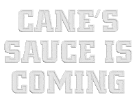 Winter Love Sticker by Raising Cane's