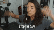 Car Gay GIF by Alayna Joy
