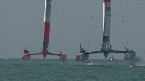 Racing GIF by SailGP