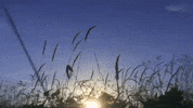 Love Song Lyrics GIF by Jade LeMac