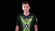E Sports Sport GIF by VfL Wolfsburg