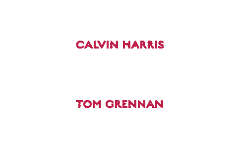 Tom Grennan Flower Sticker by Calvin Harris