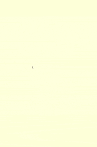 dog line GIF by Kathryn Rathke Illustration