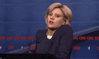 Hillary Clinton No GIF