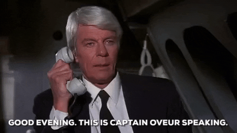 Peter Graves airplane GIF