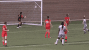 magda GIF by Carson-Newman Athletics