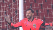 Celebrate Euro 2020 GIF by Scotland National Team