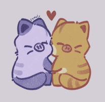 Cute Cats Catkisses GIF