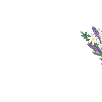 Flowers Daisy Sticker by Carol Fernandes