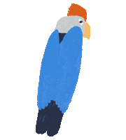 Bird Australia Sticker by Halcyon Nights