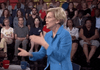 Elizabeth Warren Msnbc GIF by Election 2020