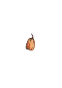 lastoczki fall pumpkins lastoczki tök Sticker