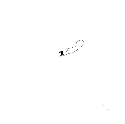 Style Snowboarding Sticker by Karakoram