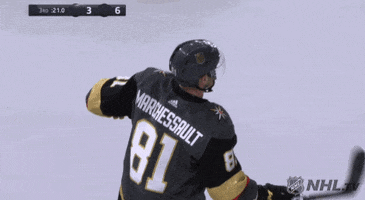 nhl sports celebrate hockey nhl GIF