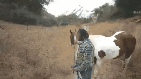 Sexy Cowboy GIF by Darius Martin