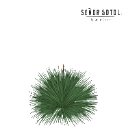Sotol Sticker by Maguey Spirits