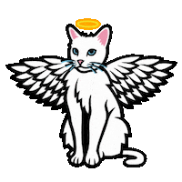 Cat Angel Sticker by Electric Catnip