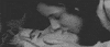 couple s love GIF