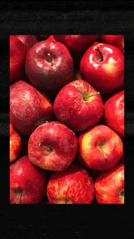 Apple Pie Autumn GIF by Art in the Age Spirits
