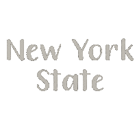 Ny Newyorkstate Sticker