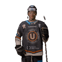 Uhk Sticker by UNIted HK