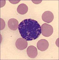 Immune System Health GIF by Ansel Oommen