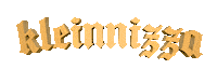 fashion gold Sticker by kleinnizza