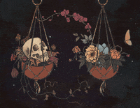 nywnart illustration skull butterfly astrology GIF