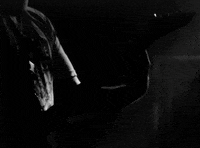 Stick To Your Guns GIF by Pure Noise Records