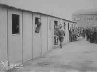 NationalWWIMuseum black and white running hungry race GIF