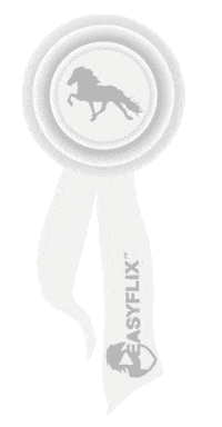 Pony Ribbon Sticker by Easyflix TV