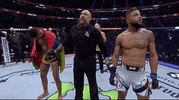 Sport Mma GIF by UFC