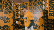 Baseball Bison GIF by NDSU Athletics