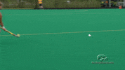 Field Hockey Hawks GIF by University of Iowa Hawkeyes Athletics